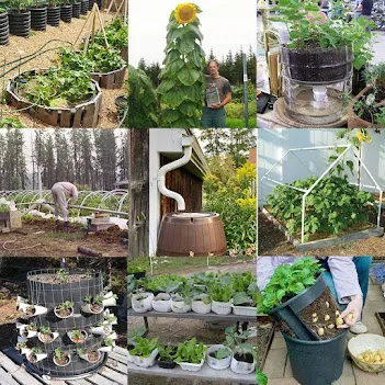 Smart Gardening Ideas